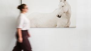 Kimerlee Curyl photo titled Unicorn of a wild mustang. Model walking by the photo.