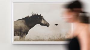 Artwork about horses 