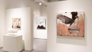 Image of Highlight | Animals