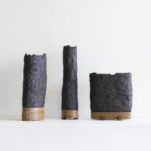 Brandon Reese Vessels 