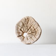 Teak piece 