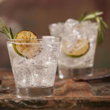 next level gin and tonic