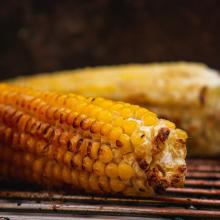 corn