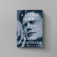 a little life book
