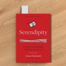 serendipity boook