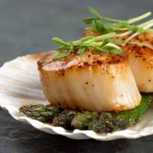seared scallops