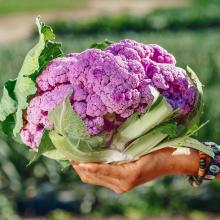 shaved cauliflower salad