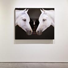 A wall-mounted artwork by Anke Schofield in a gallery displays two white horses facing each other with their noses nearly touching. The dark background emphasizes their white color, creating a striking contrast.  
