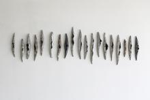 seed pods 