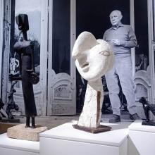 The Turbulent Life of Pablo Picasso 