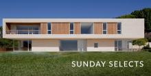 Image of VOL. 01.13.2019 | SUNDAY SELECTS