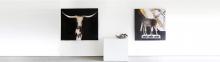Image of Vol. 07.28.2019 | Sunday Selects 