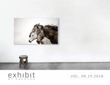 Image of VOL. 08.19.2018 | SUNDAY SELECTS