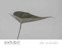 Image of Vol. 11.26.2017 | Sunday Selects