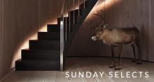 Image of VOL. 12.09.2018 | SUNDAY SELECTS