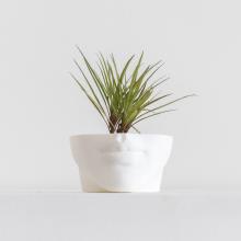 Image of sunday selects | make a lasting impression using art + object 