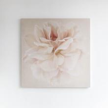 Image of Sunday Selects | Soft Tones 