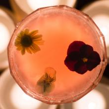 Image of Basil Daisy Cocktail