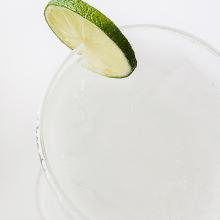 Image of Frozen Gin and Tonic