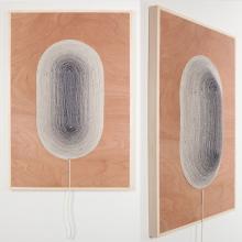Image of sunday selects |  the shape of things 