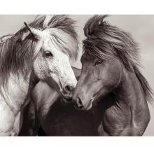 Image of Kimerlee Curyl and Anke Schofield 
