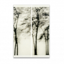 Image of VOL. 12.24.2017 | Sunday Selects 