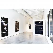 Image of Linda Cosgrove | New Work 