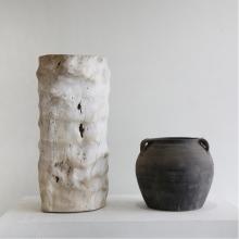 Image of sunday selects | organic  