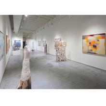 Image of Carolyn Cole New Work 