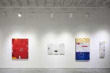 Image of Silvia Poloto Recent Work 