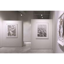 Image of Bill Claps | New Work 