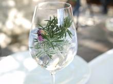 Image of G & G Cocktail: Gin, Grapefruit and Rosemary | Holly Addi