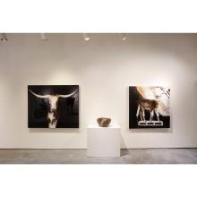 Image of Kollabs | New Work 