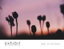 Image of Vol. 11.19.2017 | Sunday Selects