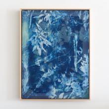 A framed Kristen Abbott artwork hangs on a white wall. The abstract design features shades of blue and white, with some areas resembling plant leaves and organic shapes. The overall style is reminiscent of a cyanotype print.