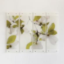 Dogwood (White), No. 10 by Jeri Eisenberg