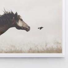 The Flight of Honor by Kimerlee Curyl