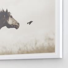 The Flight of Honor by Kimerlee Curyl