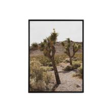 Joshua Trees by Lindsay Petersen