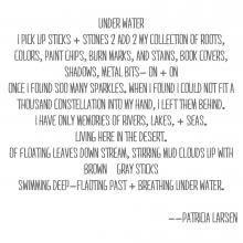 Water Gardens by Patricia Larsen