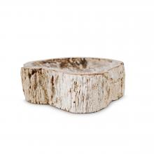 petrified wood bowl by Objects