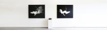 Image of Vol. 09.21.2019 | Sunday Selects