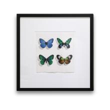 Four Butterflies: Big Greasy Butterfly by George Dombek