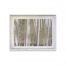 Bamboo Forest by Bill Claps