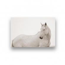 Unicorn by Kimerlee Curyl