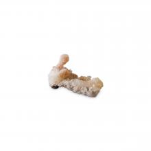 Zeolite by Minerals