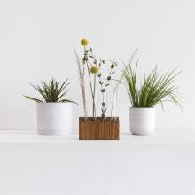 Upcycled Propagation Station by Objects